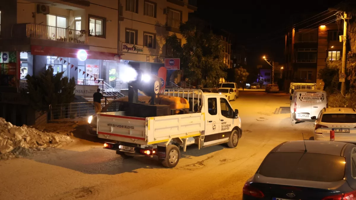 Hatay'da haşere mücadelesinde 866 bin noktaya ilaçlama yapıldı