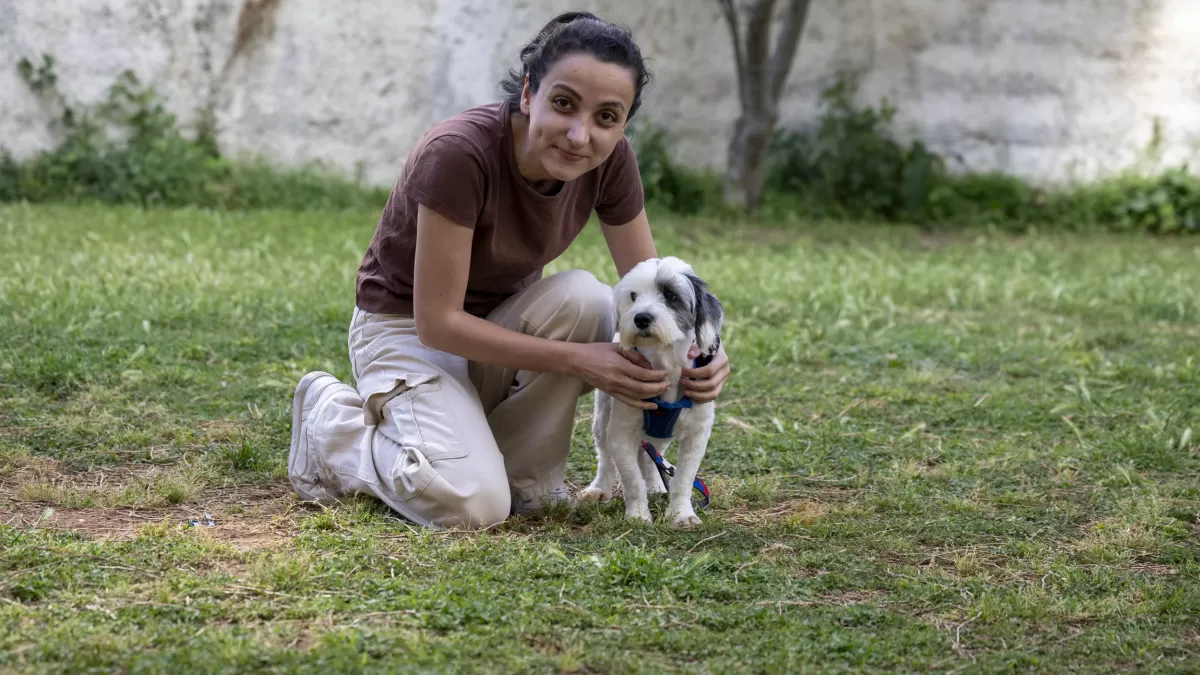 Mersin'de 1.927 köpek sahiplendirme kampanyasıyla yeni yuvasına kavuştu