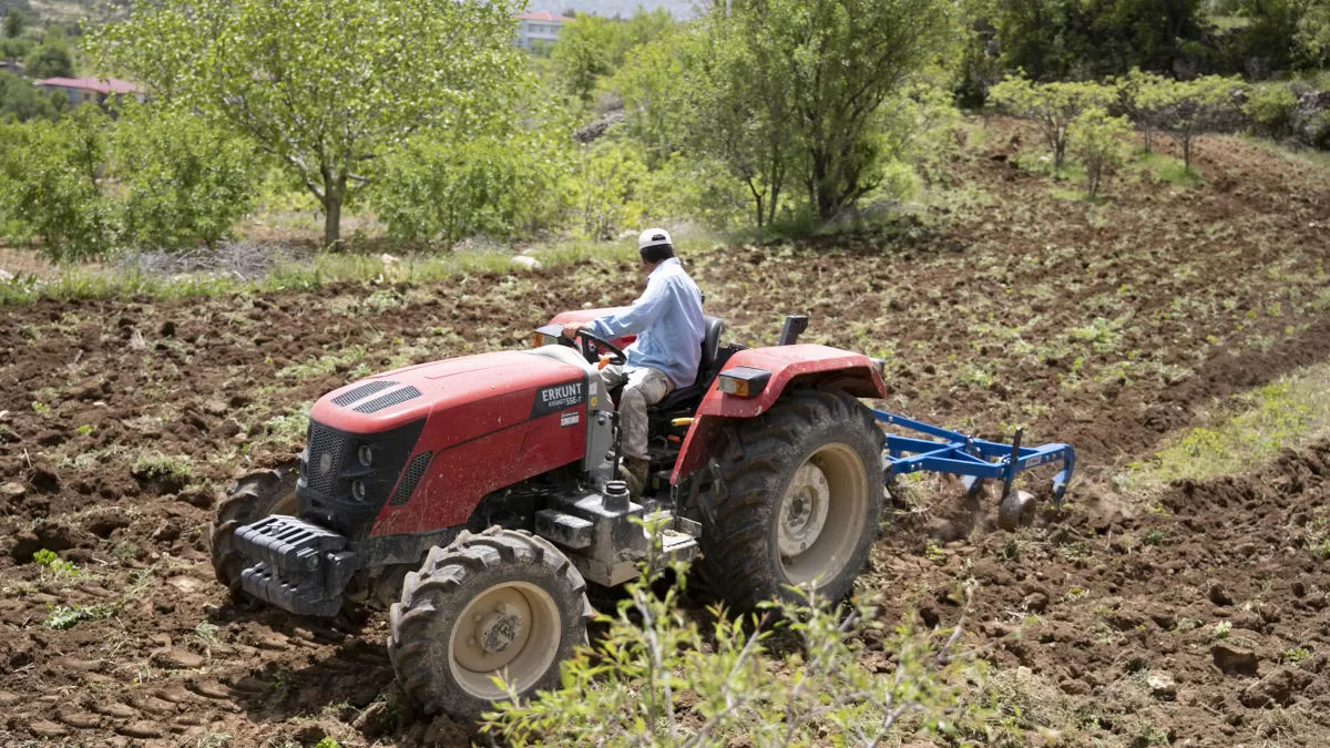Gülnar'da ata tohumları tarlaya döndü: 600 kg nohut desteği