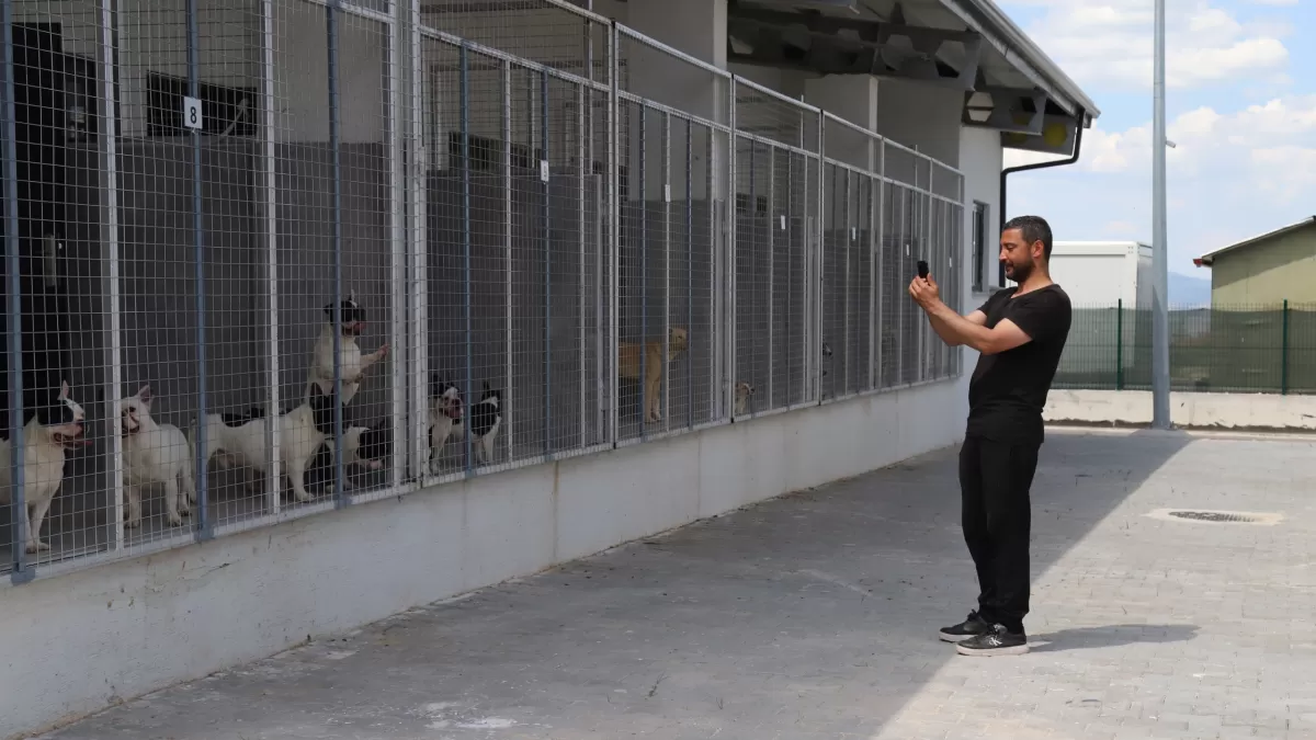 Eskişehir'de 9 köpek tek çatı altında koruma altına alındı