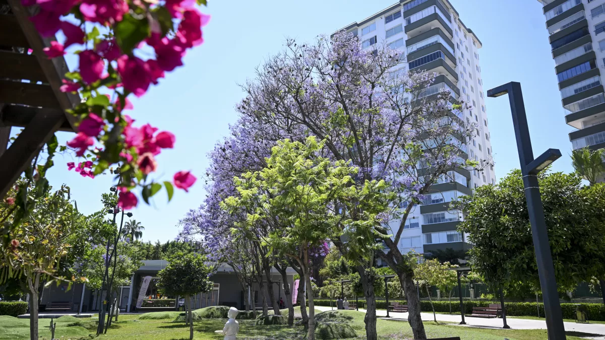 Mersin Büyükşehir'den yaz için kent estetiğine özel çalışma