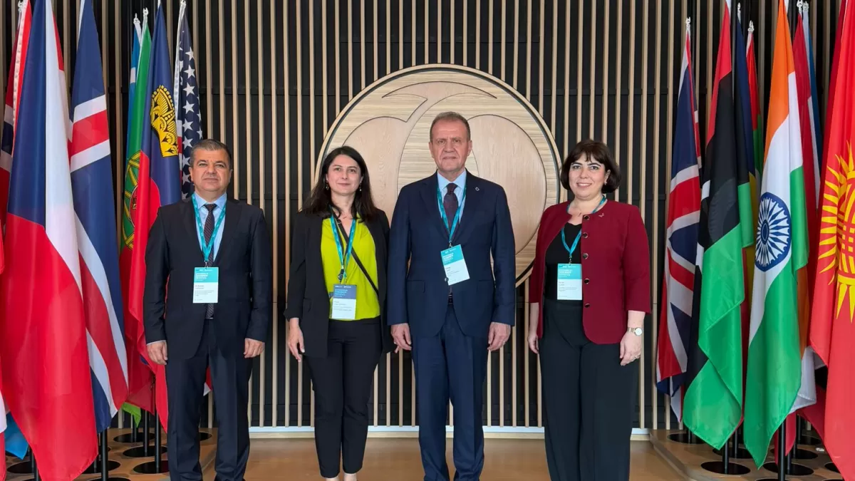 Mersin Büyükşehir Belediye Başkanı Seçer, Londra'da su yönetimi konulu uluslararası toplantıda konuştu