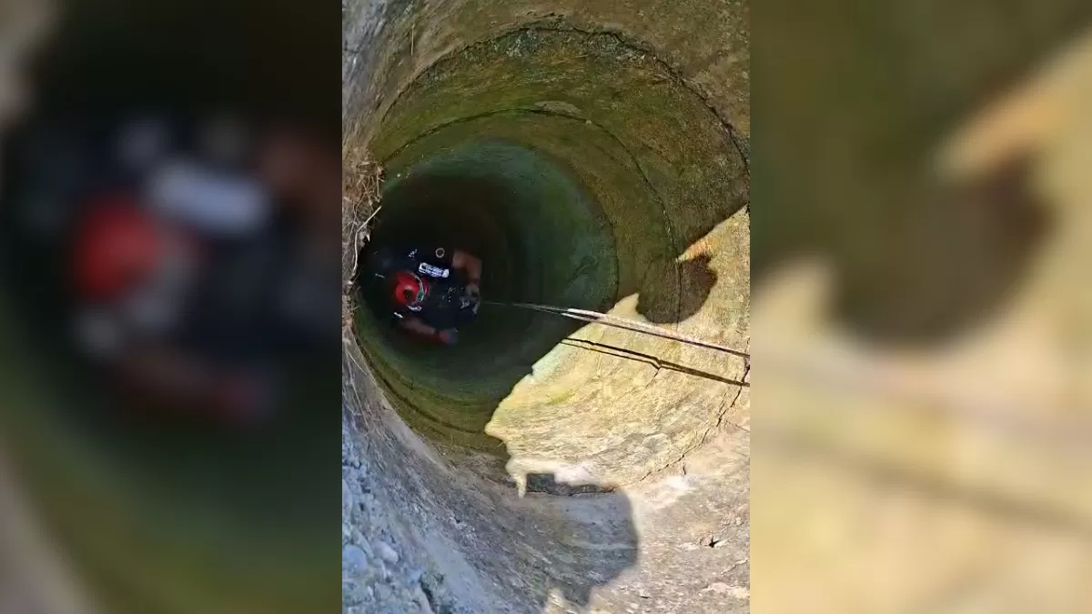 Çamlıyayla'da 18 metrelik kuyuya düşen keçi itfaiye ekipleri tarafından kurtarıldı