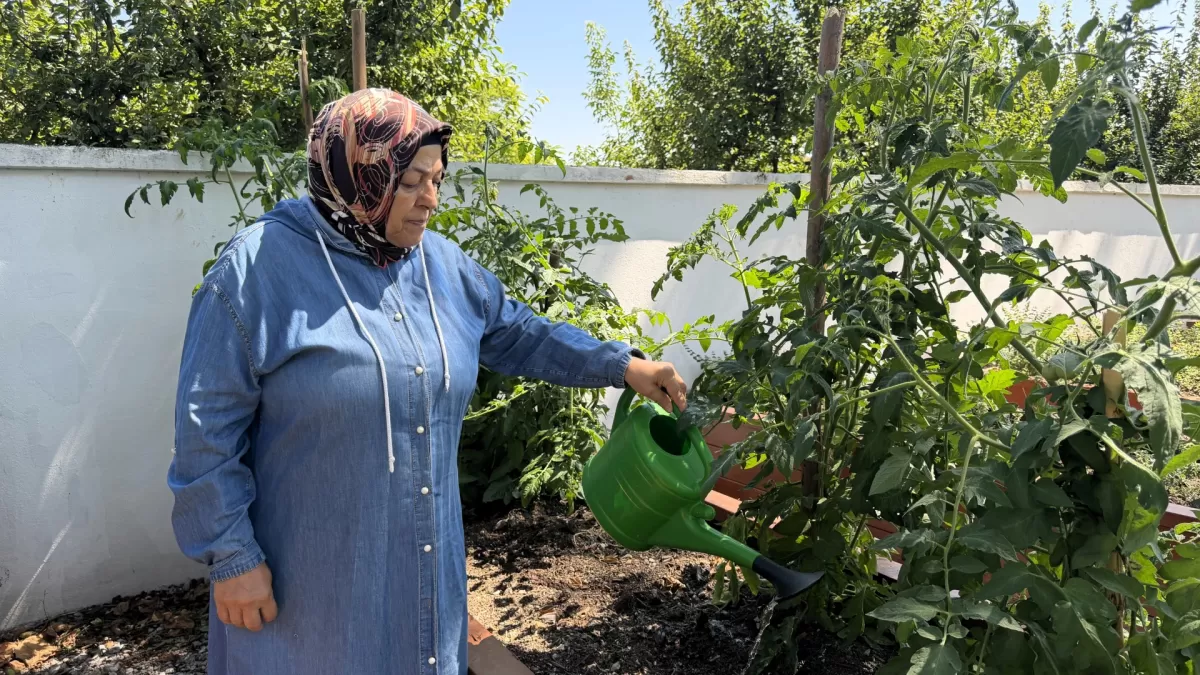 Kocaeli'de yaşlılar için sosyal yaşam merkezi açıldı: 3 ayda 692 üye