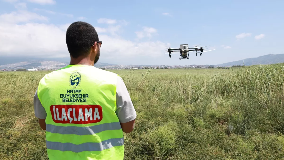 Hatay'da dron destekli ilaçlama çalışmaları sürüyor