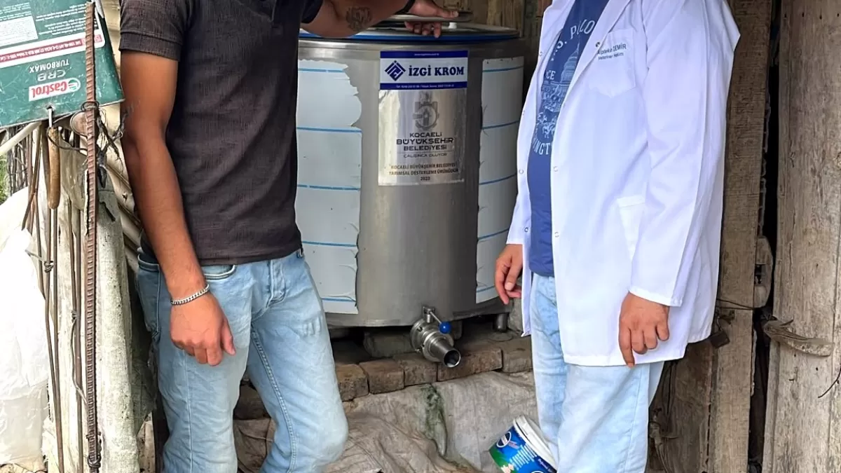 Kocaeli'de hayvancılığa teknik ve maddi destek sürüyor