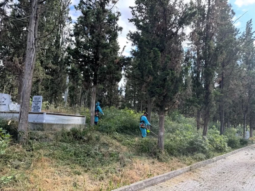 Haber Detay Görseli