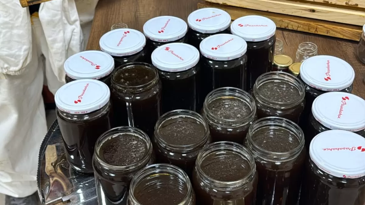 Kocaeli balı üretim potansiyeli artıyor